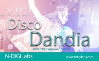 NDigilabs | Disco Dandia 2012 in Charlotte NC USA